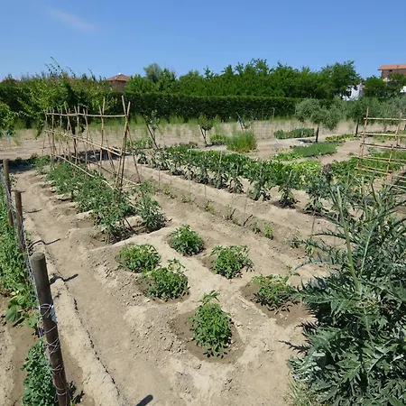 Sunny Coastal Apartamento