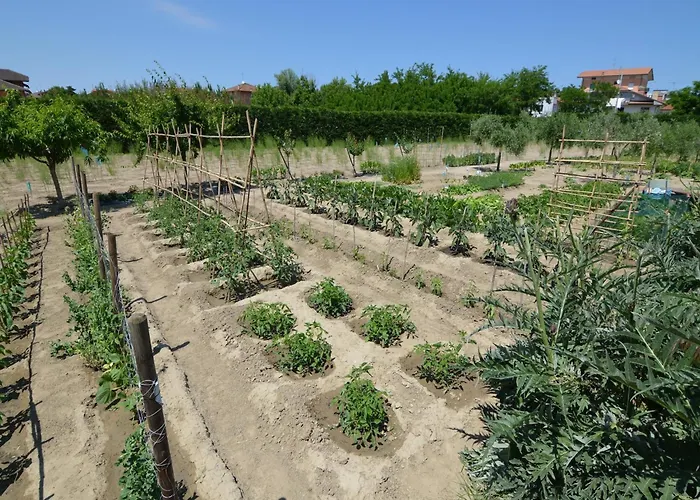 Sunny Coastal Apartamento