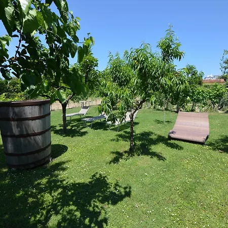 Sunny Coastal Appartement