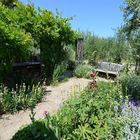 Sunny Coastal Gatteo a Mare