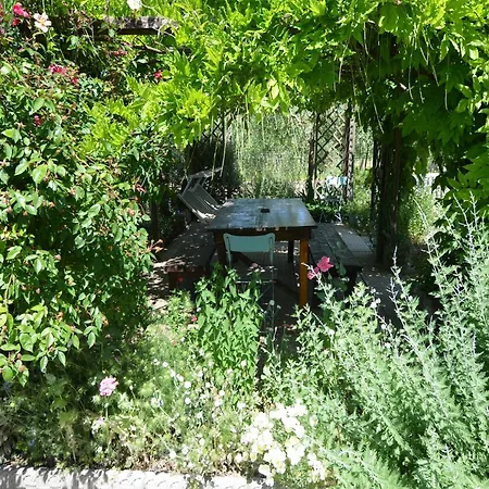 Sunny Coastal * Gatteo a Mare