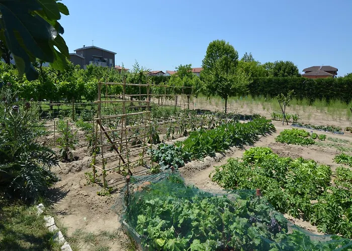 Sunny Coastal Apartment *