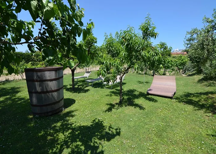 Sunny Coastal Apartment Apartment