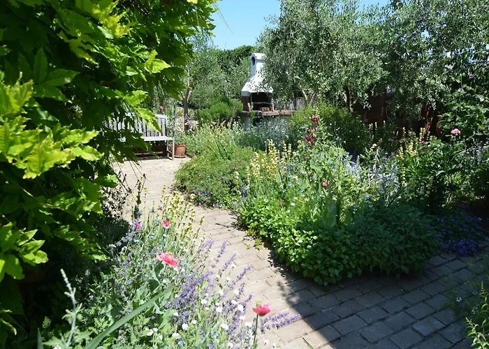 Apartment Sunny Coastal Apartment *